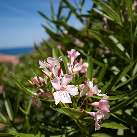 Porto Corallo * Villaputzu
